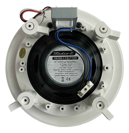 Bocina ambiental de techo N.A. 5″ 6W de 70/100V-3
