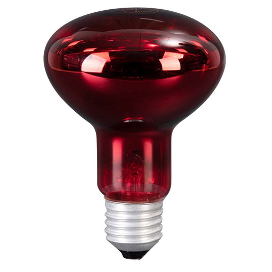 Calentador infrarrojo para incubadora de 100W-1