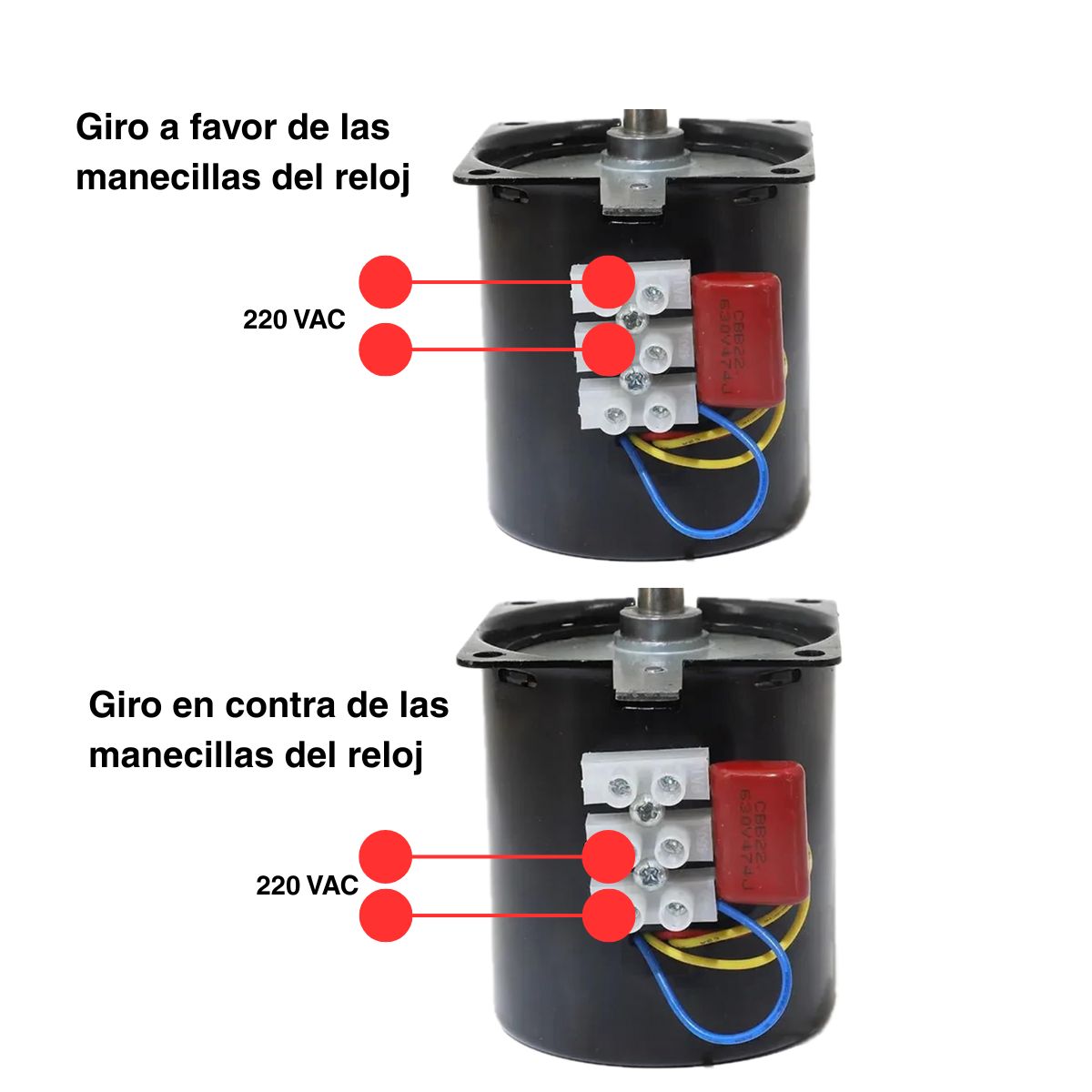 Motor síncrono de 60KTYZ 3 RPM - 220VAC-4