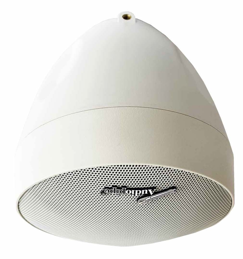 Bocina ambiental colgante Audiopipe 5.25″ de 8 ohms o 70V-1
