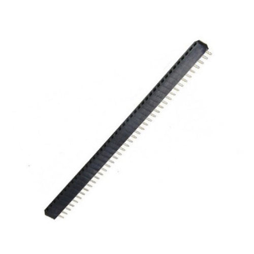 Tira de pinhead hembra de 40 pines - 5.5 mm-1