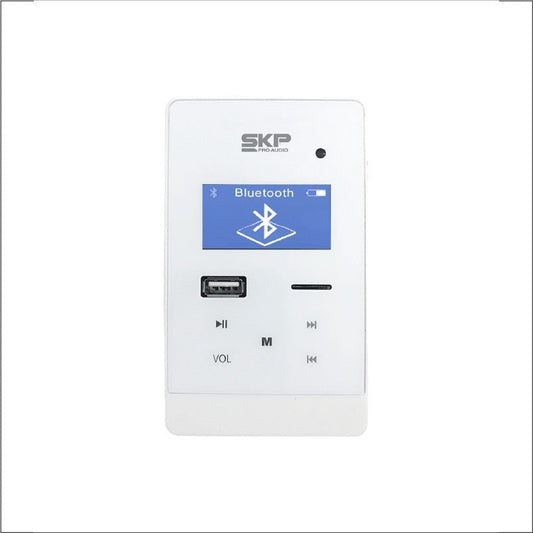 Amplificador SKP para pared de 2 x 25W-2