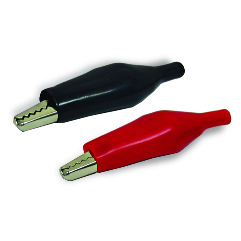 Lagartos grandes, pareja