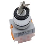 Switch Chint de llave NP4-11Y/21