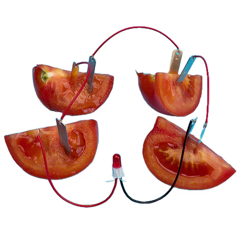 Kit armable de generación de energía con frutas